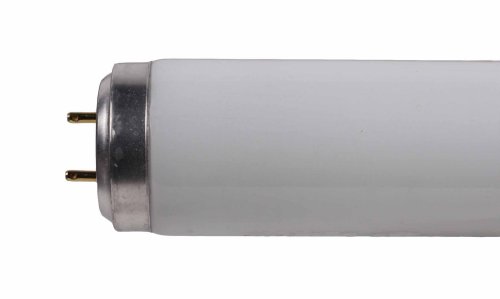 SL TL RS 40W 840 1200mm T12